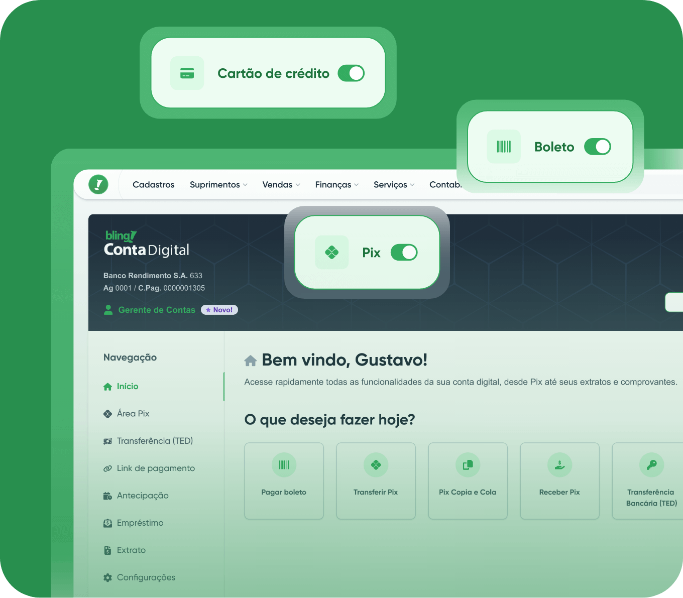 Diversos meios de pagamentos e recebimento